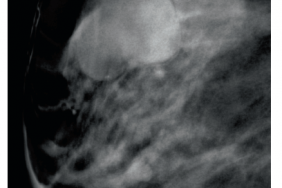 Figure 2. Figure 2.